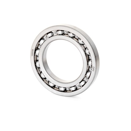 RODAMIENTO DE BOLAS RIGIDO 16009
