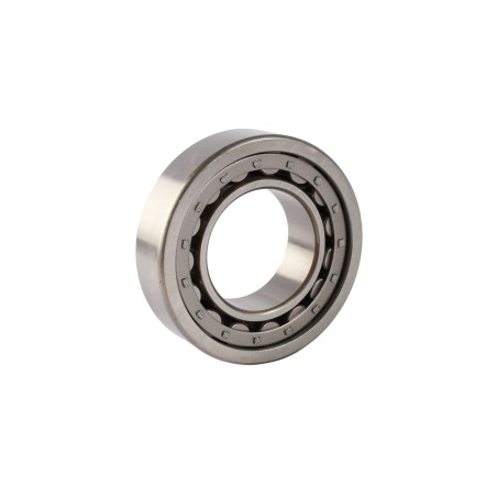 RODAMIENTO DE RODILLOS CILINDRICOS NJ2209-E-C3