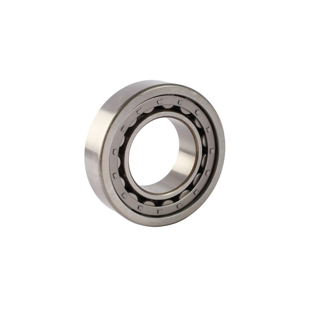 RODAMIENTO DE RODILLOS CILINDRICOS NJ2209-E-C3