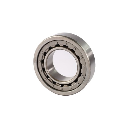 RODAMIENTO DE RODILLOS CILINDRICOS NJ2209-E-C3