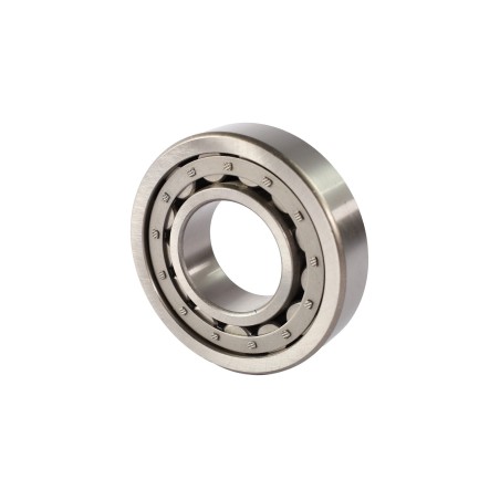 RODAMIENTO DE RODILLOS CILINDRICOS NJ311E