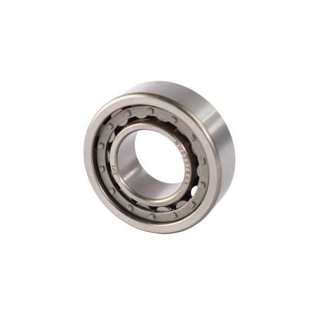 RODAMIENTO DE RODILLOS CILINDRICOS NU2207-E-C3