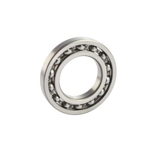 RODAMIENTO DE BOLAS RIGIDO 16007 2